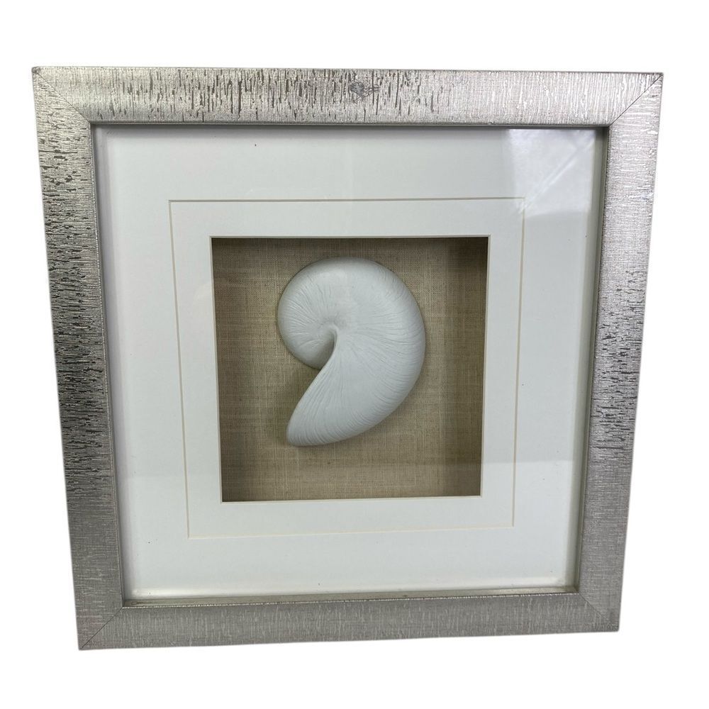 Silver Framed Nautilus Shell Art 12x12 shadow box